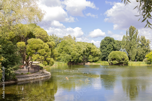 Trees and bushes around the pond with ducks. Botanical garden in Moscow. Green area, summer day, cloudy sky.