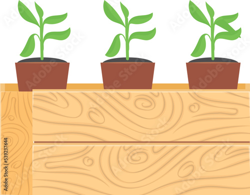 Seedling in wooden crate. Growing green plants cartoon icon