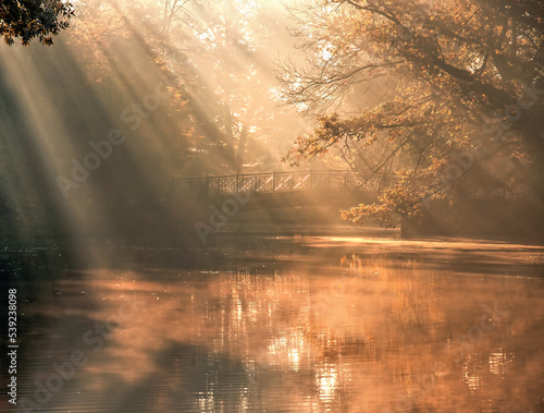Jesienny mglisty poranek , promienie słońca © Iwona