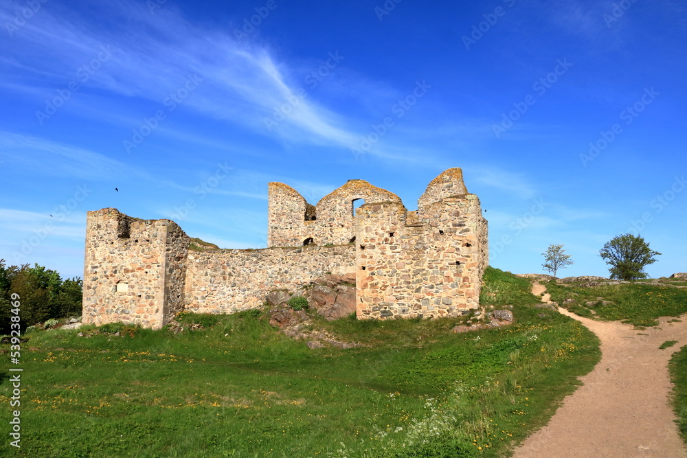 Fototapeta premium Sweden, Lake Vattern Area, Uppgranna, Brahehus castle ruins