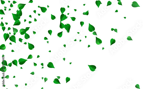 Lime Foliage Flying Vector White Background