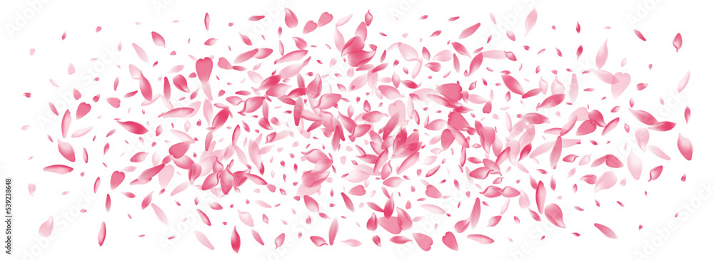 Pink Rose Petal Vector Panoramic Background.