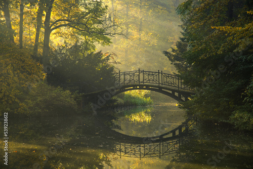 Fototapeta Naklejka Na Ścianę i Meble -  Jesienny mglisty poranek w parku