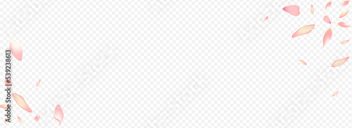 Pink Tree Vector Panoramic Transparent