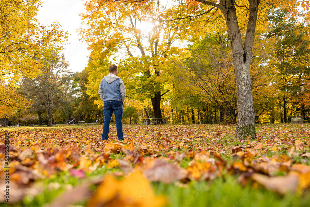 Man Standing Alone Among Autumn Trees, Leaves, and Forest Man Standing Alone Among Autumn Trees, Leaves, and Forest