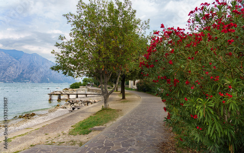 Walking path along the shore of Garda lake, Veneto region, Italy.