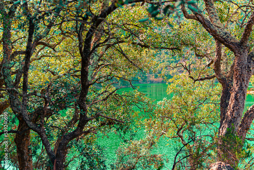 Caminando por el sendero junto al pantano de Benitandos por un sendero con increíble vegetación.