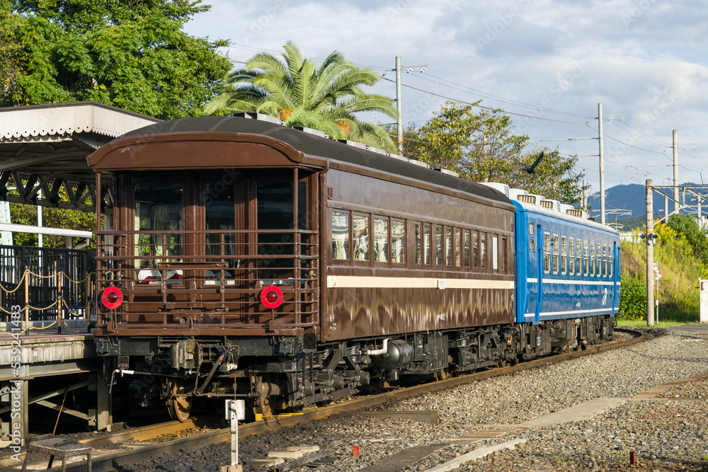 Naklejka premium マイテ49がSLスチーム号に連結されラストラン