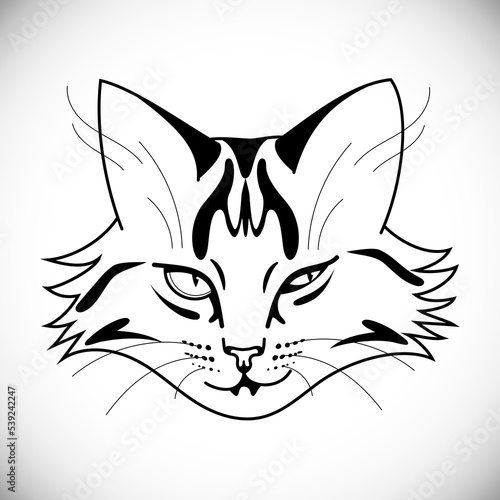 Smirking sly face of striped cat