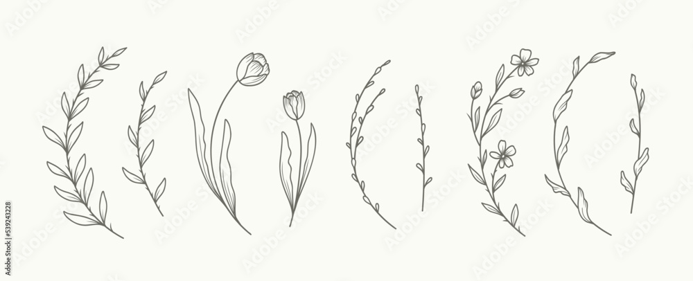 Minimal hand drawn floral botanical line art. Trendy elements of wild and garden plants, branches, leaves, flowers, herbs. Vector illustration for logo or tattoo, invitation save the date card Minimal hand drawn floral botanical line art. Trendy elements of wild and garden plants, branches, leaves, flowers, herbs. Vector illustration for logo or tattoo, invitation save the date card