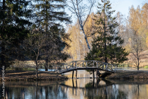 WOODEN BRIDGE ACROSS THE RIVER IN THE AUTUMN FOREST IN THE MOSCOW REGION