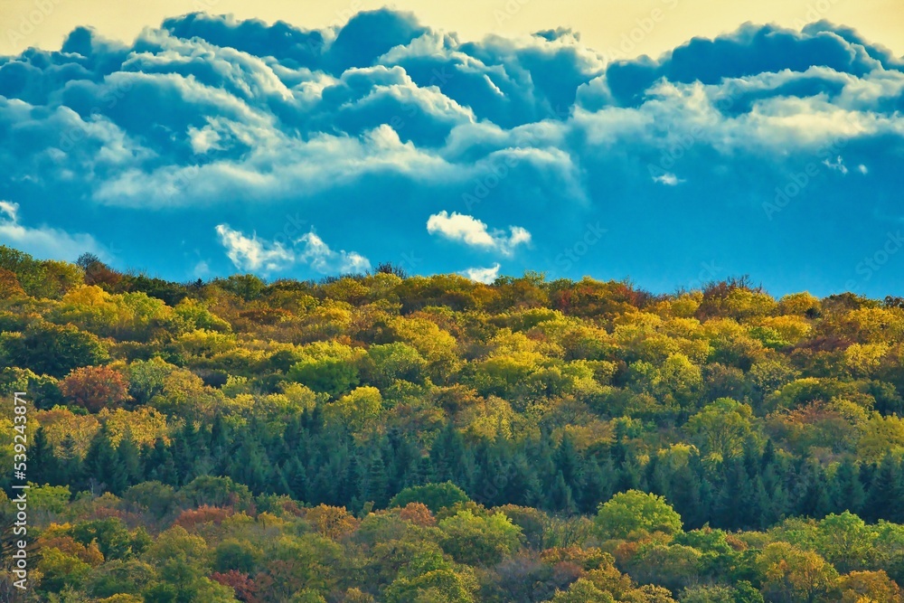  Wälder im Herbst Himmel Wolken