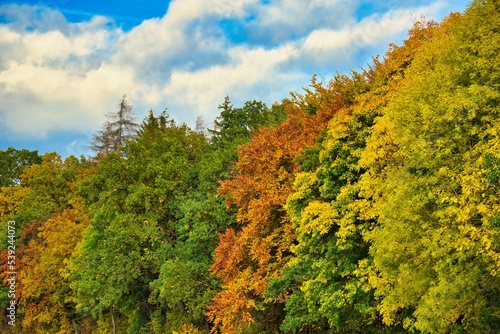Fototapeta Naklejka Na Ścianę i Meble -  Wälder im Herbst