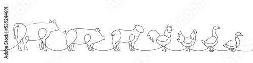 Farm animals one line continuous drawing. Cow, Pig, Sheep, Rooster, Chicken, Goose, Duck silhouettes. Farm animals one line illustration.