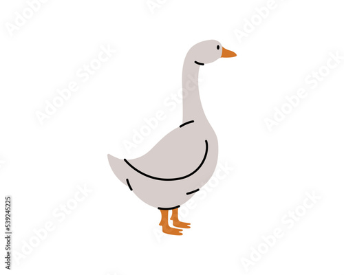 Goose hand drawn silhouette. Goose symbol. Farm bird isolated on white background.