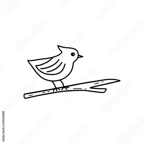 Cute bird is sitting on a branch. Black and white vector isolated illustration in doodle hand drawn