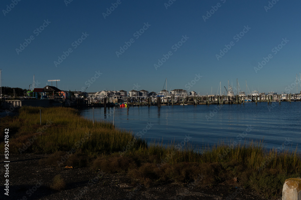 This is the shoreline of Cape May New Jersey right outside of the Lobster House in the parking lot. The water here seems so calm. I love the beautiful blue sky here and the pretty colors of the land. 