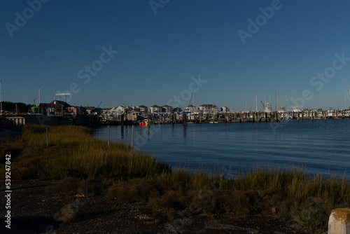 This is the shoreline of Cape May New Jersey right outside of the Lobster House in the parking lot. The water here seems so calm. I love the beautiful blue sky here and the pretty colors of the land.  © Larry