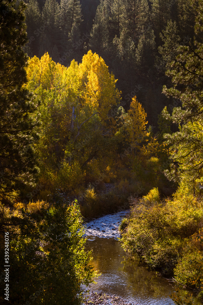 Susan River Canyon Autumn Vista - Lassen County California, USA.