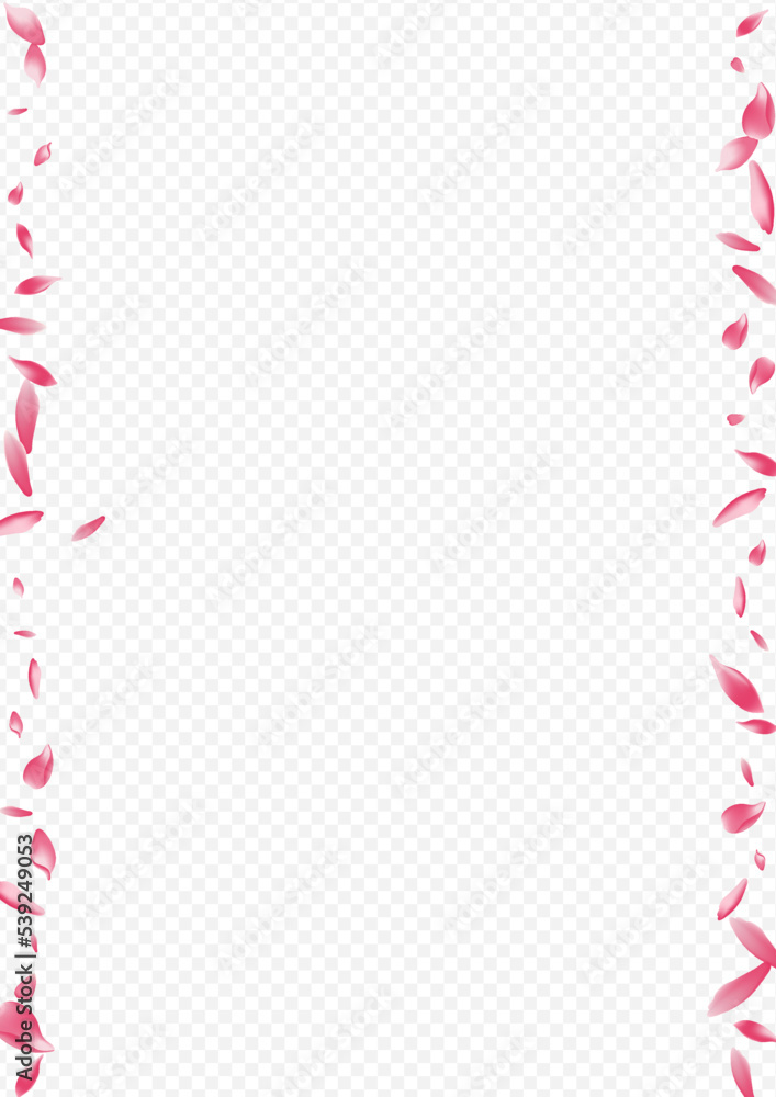 Purple Cherry Vector Transparent Background. Rosa Purple Cherry Vector Transparent Background. Rosa
