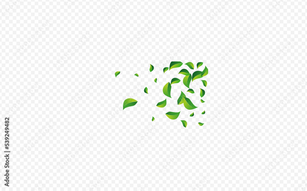 Lime Greens Forest Vector Transparent Background. Lime Greens Forest Vector Transparent Background.