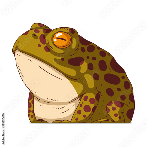 An Offended Frog, isolated vector illustration. Cartoon picture of a serious proud toad sitting. Drawn animal sticker. Simple drawing of a resented frog on white background. An upset amphibian.