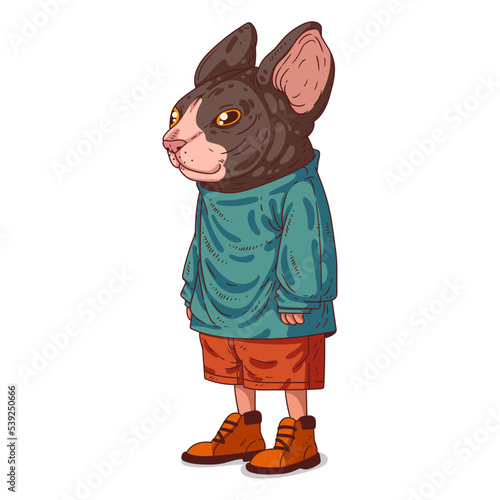 An Urban Guy, isolated vector illustration. Simply dressed cat person. Animal art. A sphynx with a human body in a casual outfit on white background. Drawn sticker. Calm anthropomorphic cat character.