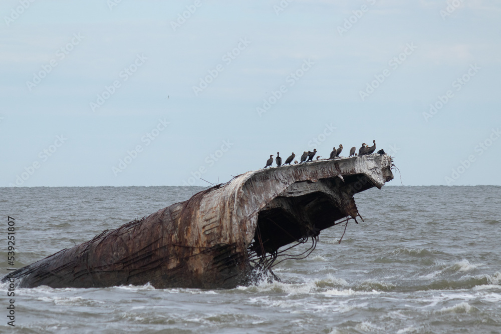 Beautiful concrete ship in the ocean with so many shorebirds on top. This sunken ship is a trademark of Sunset beach in Cape May New Jersey. I love how you can see the waves battering it.