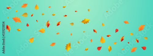 Brown Floral Vector Blue Panoramic Background.
