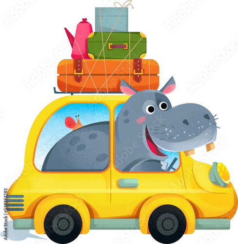 Cute funny hippo driver sits behind the wheel of a yellow car, traveling with suitcases, isolate