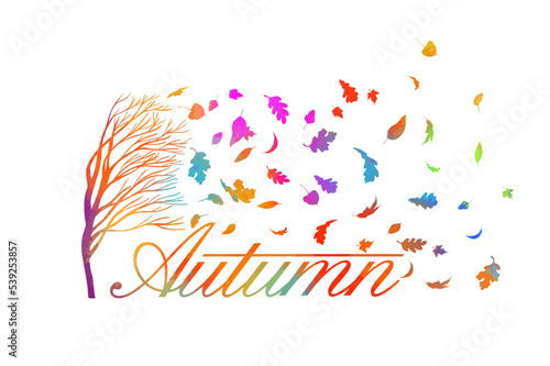 Autumn colorful . Leaves fall off the tree. Sale Background Decorated with leaves for Sale Banner. Vector illustration