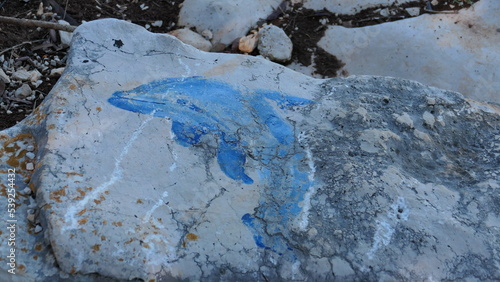 Drawing of a dolphin on a stone by the sea