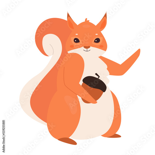 Cute squirrel holding nut. Wild rodent feeding with seeds, fluffy tail vector illustration