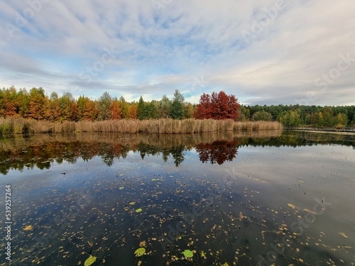 Fototapeta Naklejka Na Ścianę i Meble -  Autumn landscape from above the lake
