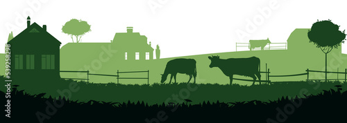 Cows graze in pasture. Picture silhouette. Farm pets. Rural landscape with farmer house. Domestic farm animals for milk and dairy products. Isolated on white background. Vector