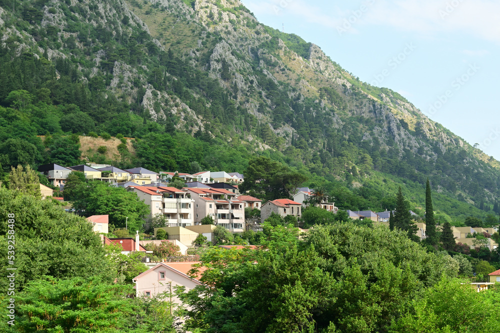 Houses on the hillside in the picturesque town of Kotor. Montenegro, Europe