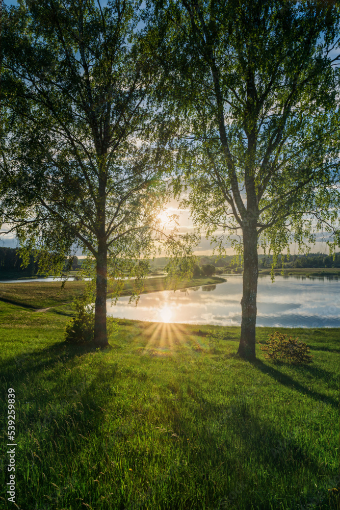 Obraz premium A landscape with green meadow under blue sky, small lake, cloud sky refclecting in the lake, on sunset.