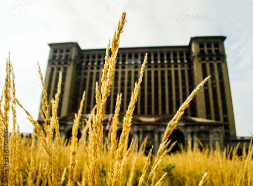 grass grown in front of then abandoned Michigan Central Station, Detroit. 