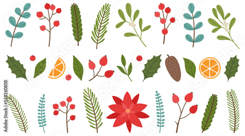 Set of Christmas plant elements. Christmas berries, leaves, twigs, flowers