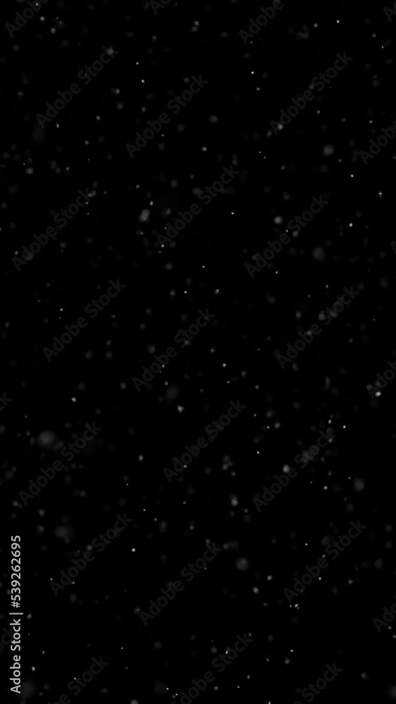 Seamless looping realistic snowflakes falling down on clean black vertical animation background.
Seamless looping realistic snowflakes falling down on clean black vertical animation background.