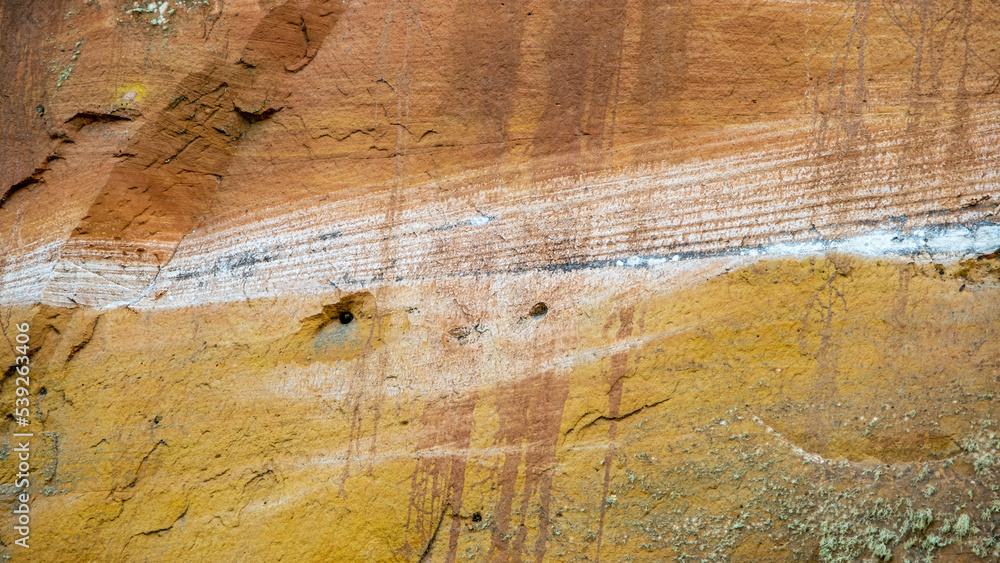 Naklejka premium Sandy rock wall on the banks of the River Gauja. Gauja national park, Latvia
