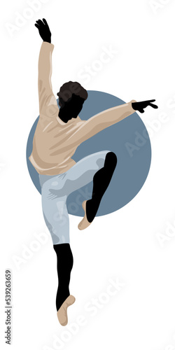 white and grey geese