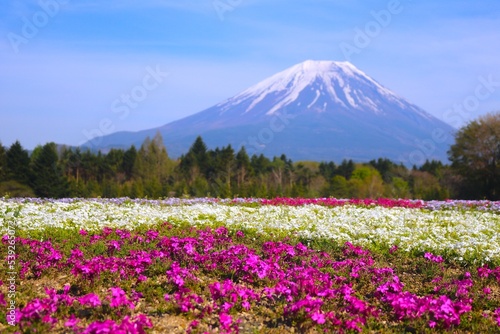 Mount Fuji