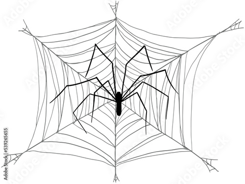 A spider with long legs wove a large web on a white background. Vector silhouette for Halloween card.