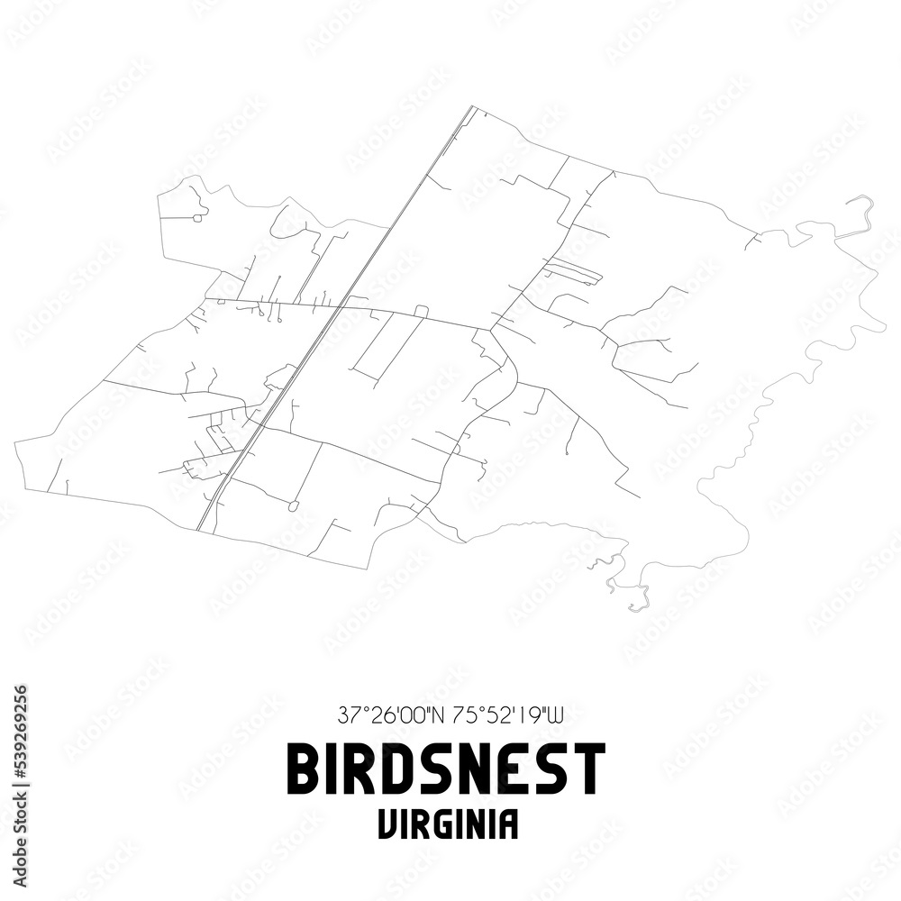 Birdsnest Virginia. US street map with black and white lines.