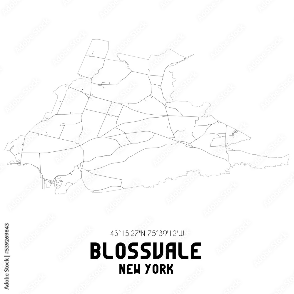 Blossvale New York. US street map with black and white lines.