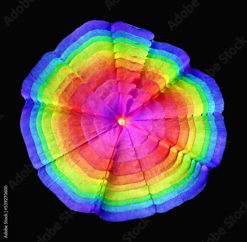 Beautiful colorful rainbow design element flower on black for design, print, textile, background, pattern, ornamental, exotic, unusual, abstract