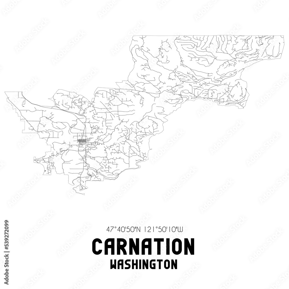 Carnation Washington. US street map with black and white lines. Carnation Washington. US street map with black and white lines.