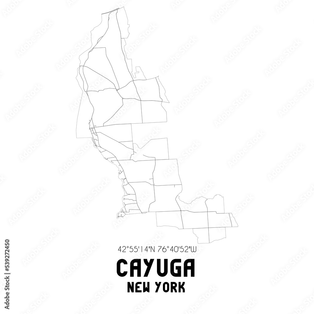 Cayuga New York. US street map with black and white lines.