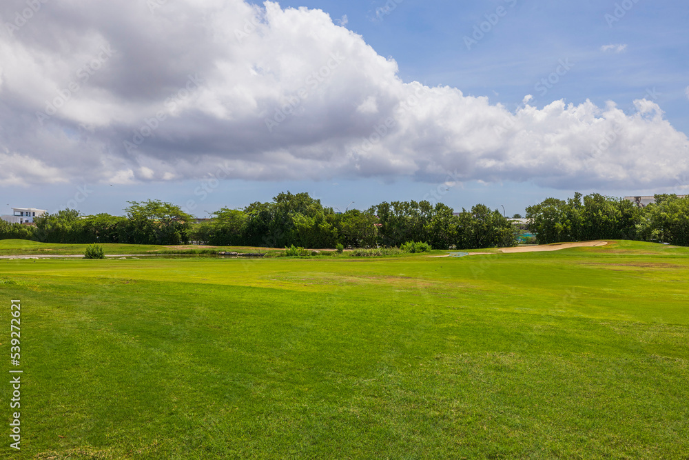 Beautiful landscape view of green grass golf field on green trees and blue sky with white clouds background. Aruba. 